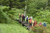 「日本すずらんと季節を映す山野草」