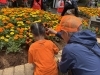 区役所の方が丁寧に説明してくれるのでお子様でも植え付けられます。「🍊 街ぐるみでおもてなし－その⑧　みんなで作るオレンジ花壇　編－」