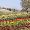 国営讃岐まんのう公園