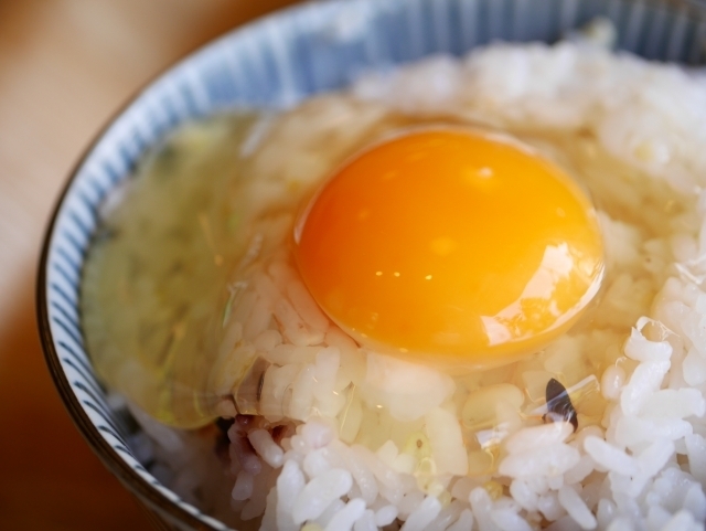 「【ひよこの日】卵の栄養と薬効【船橋市の鍼灸専門院　心月院】」