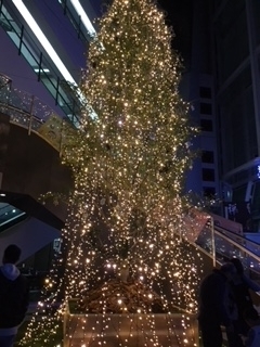 新潟市のイルミネーション クリスマスツリー情報19 新潟市のおでかけ情報まとめ まいぷれ 新潟市 新潟市のイルミネーション クリスマスツリー情報19 新潟市のおでかけ情報まとめ まいぷれ 新潟市