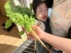 「大根抜き‼」