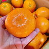 「愛媛県産「熟成いよかん・弥生紅(やよいべに)」が今年も入荷していますよ～」