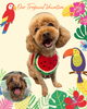 「Dog salon mofu mofu　余市町」
