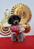 クロエちゃん「Happy New Year」