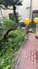 「「カナヘビいた！」から始まった大冒険♪」