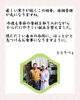 ご挨拶「【今週のお弁当のご紹介】」