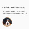 むやみに繁殖させないでください「飼い主さんやこれからペットを飼う方へ 「守って欲しい5ヶ条」」