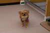 すふれちゃん「今日のお友達」