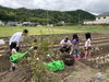 週末は子供達も参加して「ネギ収穫!!」