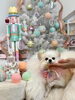ロミちゃん「MerryXmas🎄」
