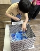 「お仕事練習　～ペットボトルキャップの仕分け～」
