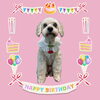 「Dog salon mofu mofu　余市町」