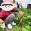 大きいのが取れたよ！「あかとんぼでの体験☆畑のラディッシュを収穫したよ！畝作りから挑戦♪《子どもたちのお困り事を解決！高松市の児童発達支援・放課後等デイサービス》」