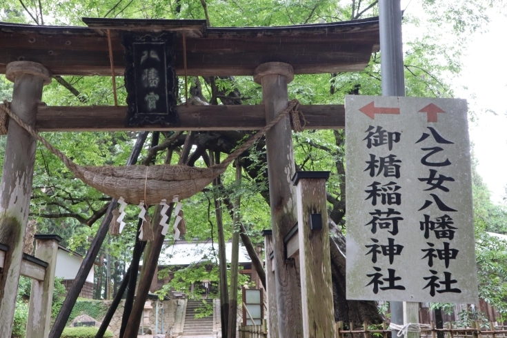 「紫陽花で有名な、白鷹町の【八乙女八幡神社】に伺いました❕」