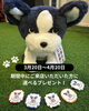 「2周年キャンペーン開催!!【札幌市東区インドアゴルフ　STUDIO IO(イオ)】」