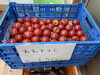 とまと「訳あり大玉トマトあります！」
