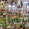 たくさんの商品「【はなやホック皆生店】季節の花々」