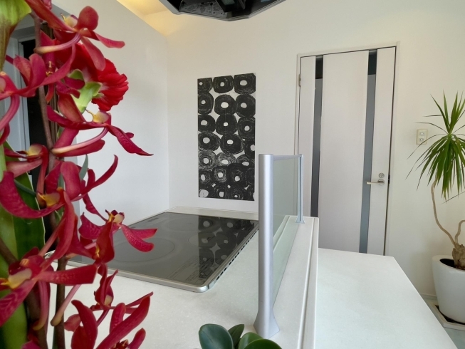 「こんにちは! 白石工務店です。」