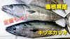 【定置もん！】島根県産キツネカツオ「○本日のお刺身【定置もん】【島根県産アジ、キツネカツオ】」