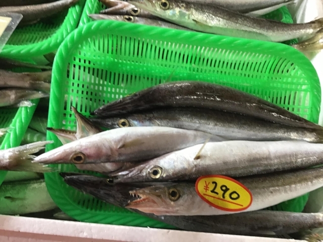 「魚魚市場鮮魚コーナーおすすめは「クロ」です♪」