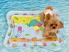 みぃちゃん「波とわんこ🌊」