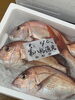 「岩船港直売所本日営業致します」