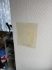 穴を塞いでパテします「壁クロスの穴、直します」