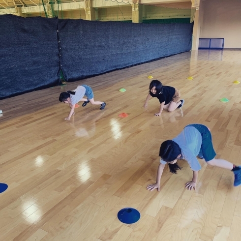 楽しみながら、運動能力アップ！「体育教室で、遊びながら運動に対しての苦手意識を無くそう！」