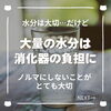 「暑い夏は水分は大切！けれど飲む量はノルマにせず心地よさで決めよう（=^ェ^=) 整体・オイル・リーディング・占い・顔そり・氣功」