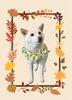 「Dog salon mofu mofu　余市町」