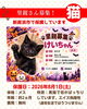 「【愛媛県新居浜市】里親募集のお知らせ！」
