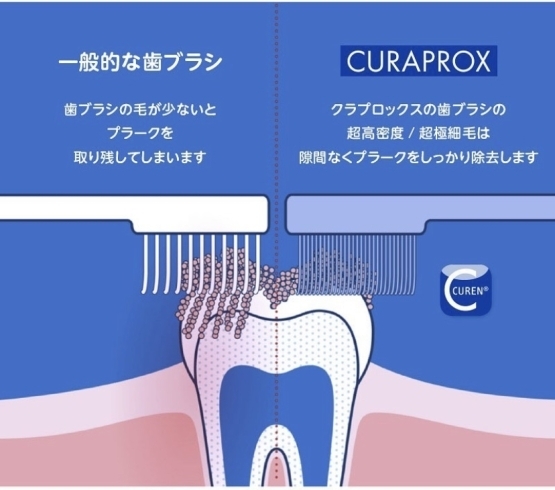 当院No1の歯ブラシ！！「ポイントカードについて♡」