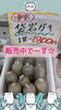 「岩牡蠣入荷してます。(岩船産岩牡蠣入荷中でーす)」