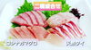 【二種盛り 2人前 500円(税込)】「○本日のお刺身○【定置もん】島根県産コシナガマグロ、天然タイ」