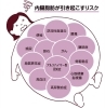 「隠れ肥満と内臓脂肪のリスク」