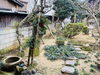 「村上市でお茶作り250年！猫がいる町屋カフェ【まいぷれ村上・地域情報発信中！】」