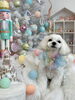 じろうくん「MerryXmas🎄」