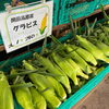 「高原産とうもろこしは毎日入荷します！」