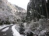 「雪で寒いですね～皆様移動気をつけて下さい～(^○^)‼️。」
