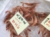 「魚魚市場鮮魚コーナーおすすめは「マングローブガニ」です🎶」