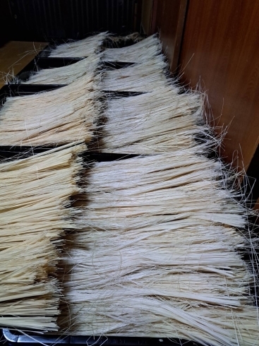 竹の繊維はここまで白くなるんです！「2年間の改修工事を経てついに！　社殿のお披露目🎉　12月16日（土）18時～遷座祭開催！」