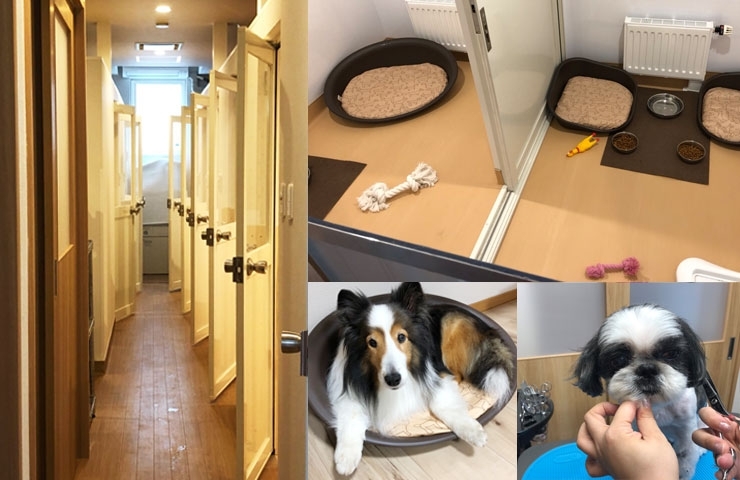 犬のホテル Cane カーネ 新店情報 札幌市西区 手稲区のニューオープンまとめ まいぷれ 札幌市西区 犬のホテル Cane カーネ 新店情報 札幌市西区 手稲区のニューオープンまとめ まいぷれ 札幌市西区