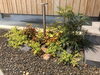 ガーデンポールライトを採用しました☘️夜も素敵に「植栽の外構施工事例❢スマイルガーデン」
