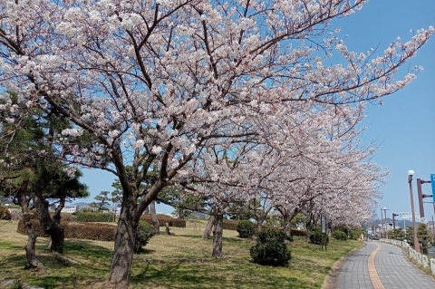 白潟公園