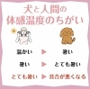 犬の暑いサイン 熱中症予防に役立てよう 合同会社りぶふるのニュース まいぷれ 江戸川区 犬の暑いサイン 熱中症予防に役立てよう 合同会社りぶふるのニュース まいぷれ 江戸川区