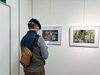 「心が動く一枚に出会う時間「フォトアート三島・第30回写真展」レポート」
