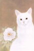 猫以外では小動物もｏｋです「【銀座　猫の絵教室】色えんぴつで描く猫の絵専門教室！」