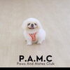 ＜出水市高尾野町＞P.A.M.C（パムク）