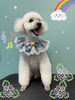 「可愛い子ちゃん♡ Dog salon mofu mofu 余市町」